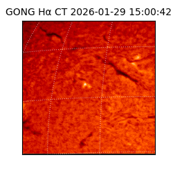 gong - 2026-01-29T15:00:42