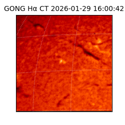gong - 2026-01-29T16:00:42