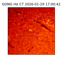 gong - 2026-01-29T17:00:42