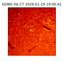 gong - 2026-01-29T19:00:42