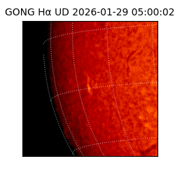 gong - 2026-01-29T05:00:02