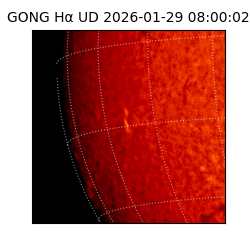 gong - 2026-01-29T08:00:02