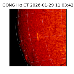 gong - 2026-01-29T11:03:42