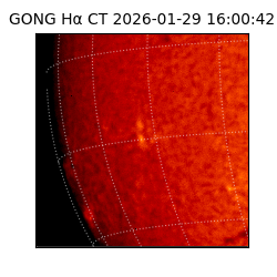 gong - 2026-01-29T16:00:42