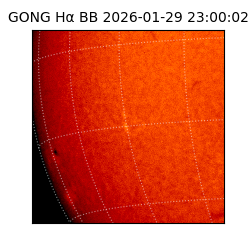 gong - 2026-01-29T23:00:02
