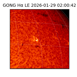 gong - 2026-01-29T02:00:42