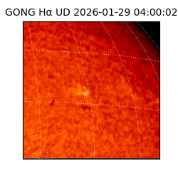 gong - 2026-01-29T04:00:02