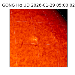 gong - 2026-01-29T05:00:02