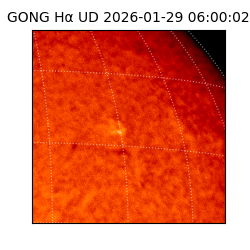 gong - 2026-01-29T06:00:02