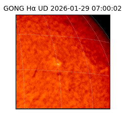 gong - 2026-01-29T07:00:02