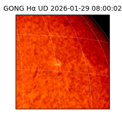 gong - 2026-01-29T08:00:02