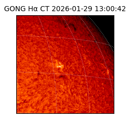 gong - 2026-01-29T13:00:42