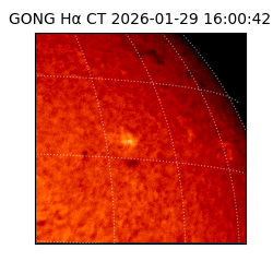 gong - 2026-01-29T16:00:42