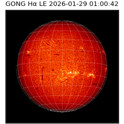 gong - 2026-01-29T01:00:42