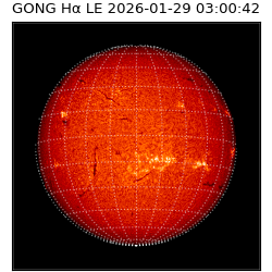 gong - 2026-01-29T03:00:42