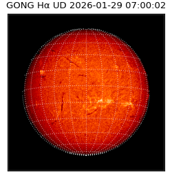 gong - 2026-01-29T07:00:02