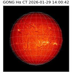 gong - 2026-01-29T14:00:42