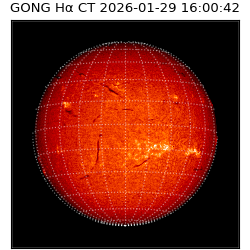 gong - 2026-01-29T16:00:42