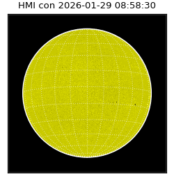 shmi - 2026-01-29T08:58:30.600000