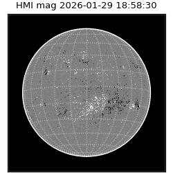 shmi - 2026-01-29T18:58:30.400000