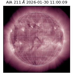 saia - 2026-01-30T11:00:09.626000