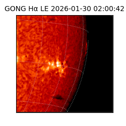 gong - 2026-01-30T02:00:42