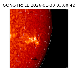 gong - 2026-01-30T03:00:42