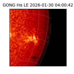 gong - 2026-01-30T04:00:42