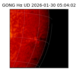gong - 2026-01-30T05:04:02
