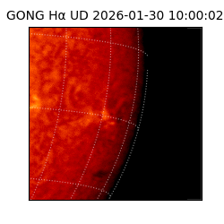 gong - 2026-01-30T10:00:02