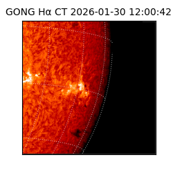 gong - 2026-01-30T12:00:42