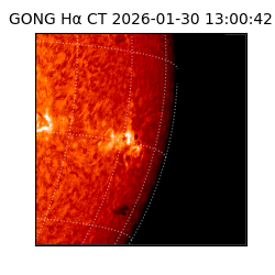 gong - 2026-01-30T13:00:42