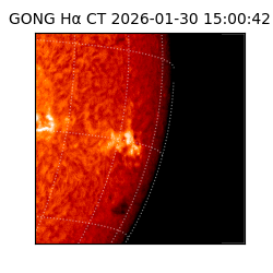 gong - 2026-01-30T15:00:42