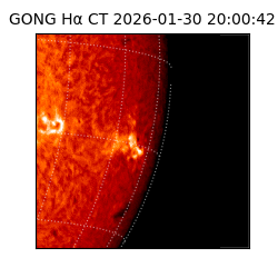 gong - 2026-01-30T20:00:42