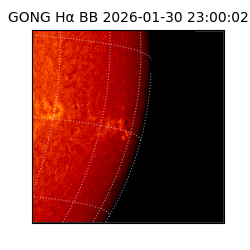 gong - 2026-01-30T23:00:02