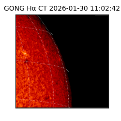 gong - 2026-01-30T11:02:42