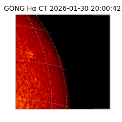 gong - 2026-01-30T20:00:42