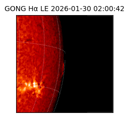 gong - 2026-01-30T02:00:42