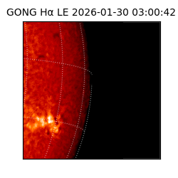 gong - 2026-01-30T03:00:42