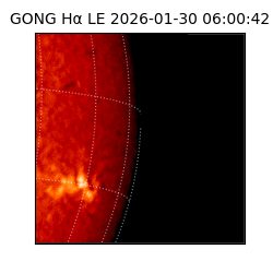 gong - 2026-01-30T06:00:42