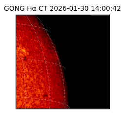 gong - 2026-01-30T14:00:42