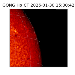 gong - 2026-01-30T15:00:42
