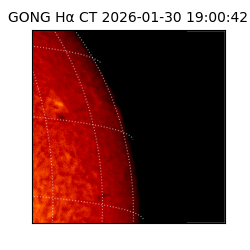 gong - 2026-01-30T19:00:42