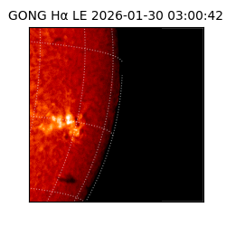 gong - 2026-01-30T03:00:42