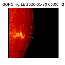 gong - 2026-01-30T06:00:42