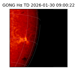 gong - 2026-01-30T09:00:22