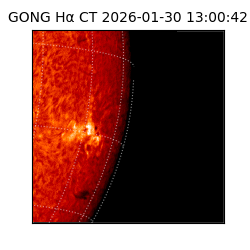 gong - 2026-01-30T13:00:42