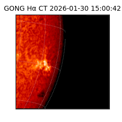 gong - 2026-01-30T15:00:42