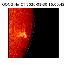 gong - 2026-01-30T16:00:42
