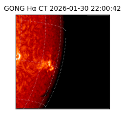 gong - 2026-01-30T22:00:42